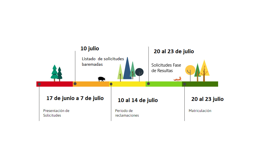 Proceso de admisión